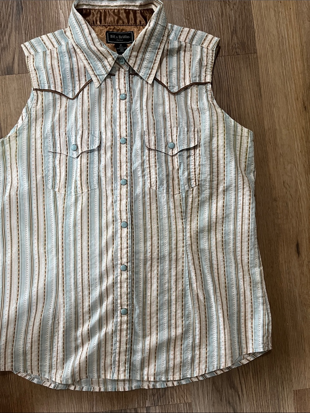 Bit & Bridle Sleeveless Striped Button-Front Western Shirt - Cream & Brown med